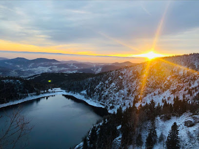 Winter sports enthusiasts in action at Lac Blanc ski resort, surrounded by stunning snow-covered mountain scenery in Haut-Rhin, France.