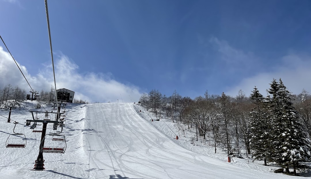 Winter scene at Shirakaba 2in1 Ski Resort in Japan, featuring a skier swiftly moving downhill, a ski lift, and the breathtaking snow-covered mountainous landscape.