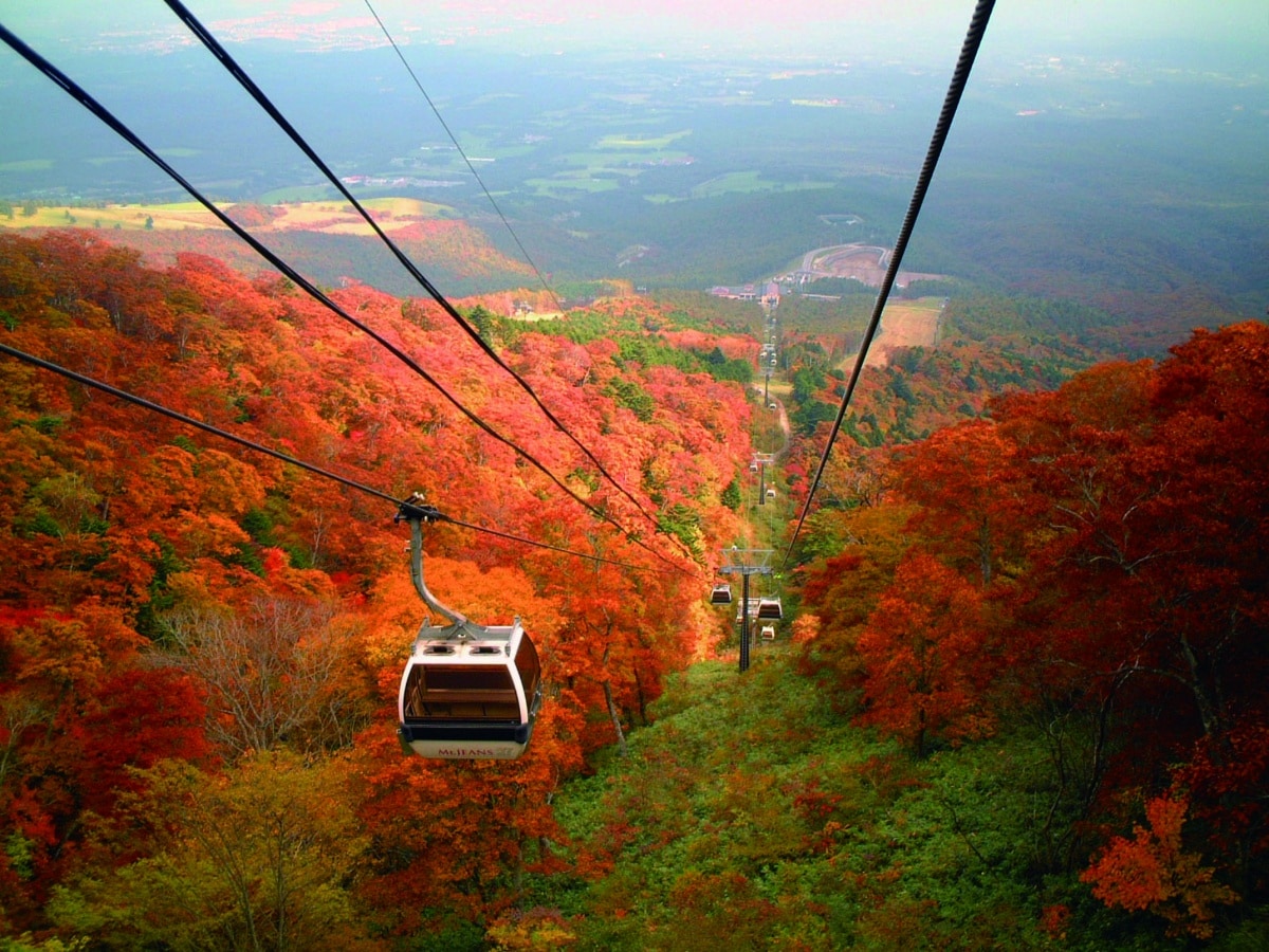 Mt. Jeans Nasu in Japan - a cable car going up a mountain in the fall.