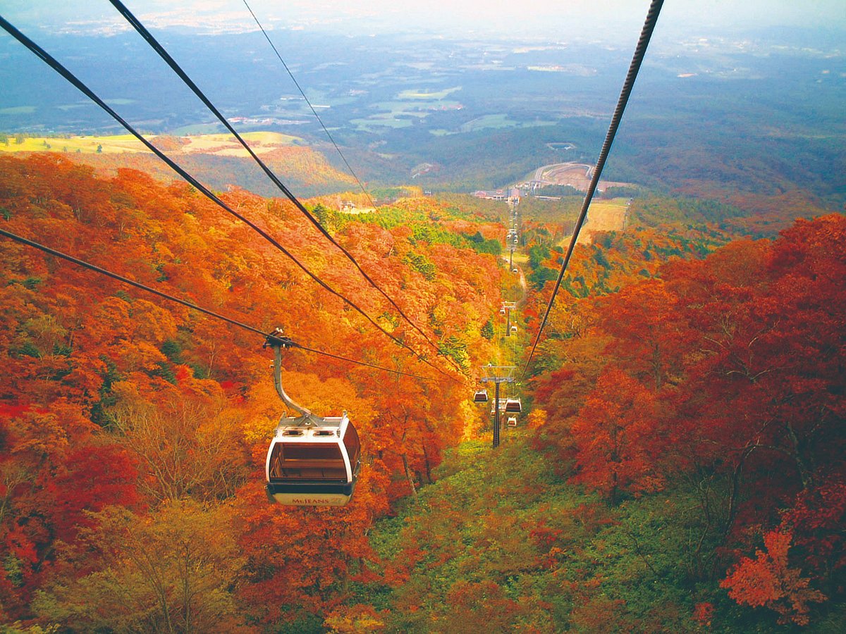 Mt. Jeans Nasu in Japan - a cable car going up a mountain in the fall.