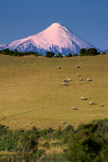View of the striking mountain range in Osorno, Puerto Varas, Chile. The picture captures a lush, green landscape contrasted by the snow-capped peaks. A charming chalet sits nestled alongside, and a mountain bike is faintly visible.