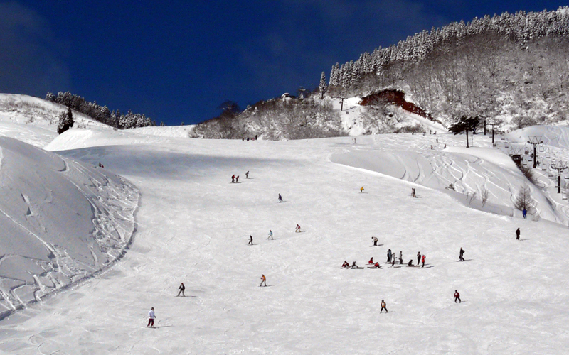 A winter sports scene in Ojiro Japan featuring a lively ski resort. A charming chalet can be seen amidst the snow-covered slopes of this popular winter sports destination.