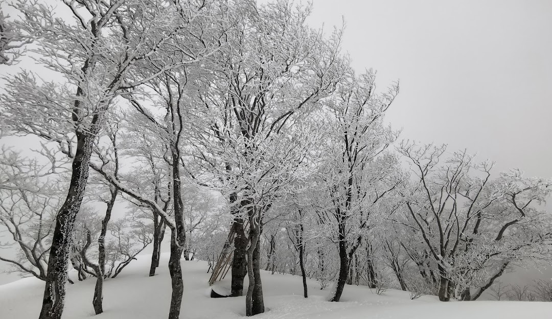 Winter scene in Okuibuki, Kansai, Japan. A picturesque landscape covered in pure white snow with a chalet and winter sports centre nestled amid the serene environment. Snow activities underway under the crisp winter sky.