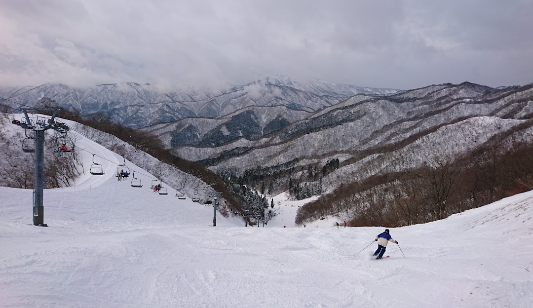 A skier enjoying a winter sports scene at the Okuibuki ski resort in Maibara, Japan, surrounded by stunning winter scenery including snow-capped trees and mountains.
