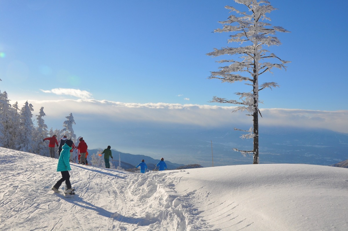 Ichinose Family in Japan - a group of people skiing down a snow covered mountain.
