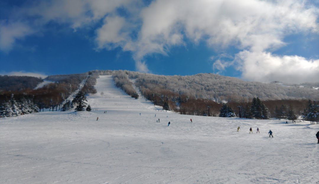 Spectacular winter view of Ichinose Family ski resort in Nagano, Japan. Visible are skiers enjoying various winter sports on the snow-covered slopes, and a charming chalet nestled in the pristine landscape.