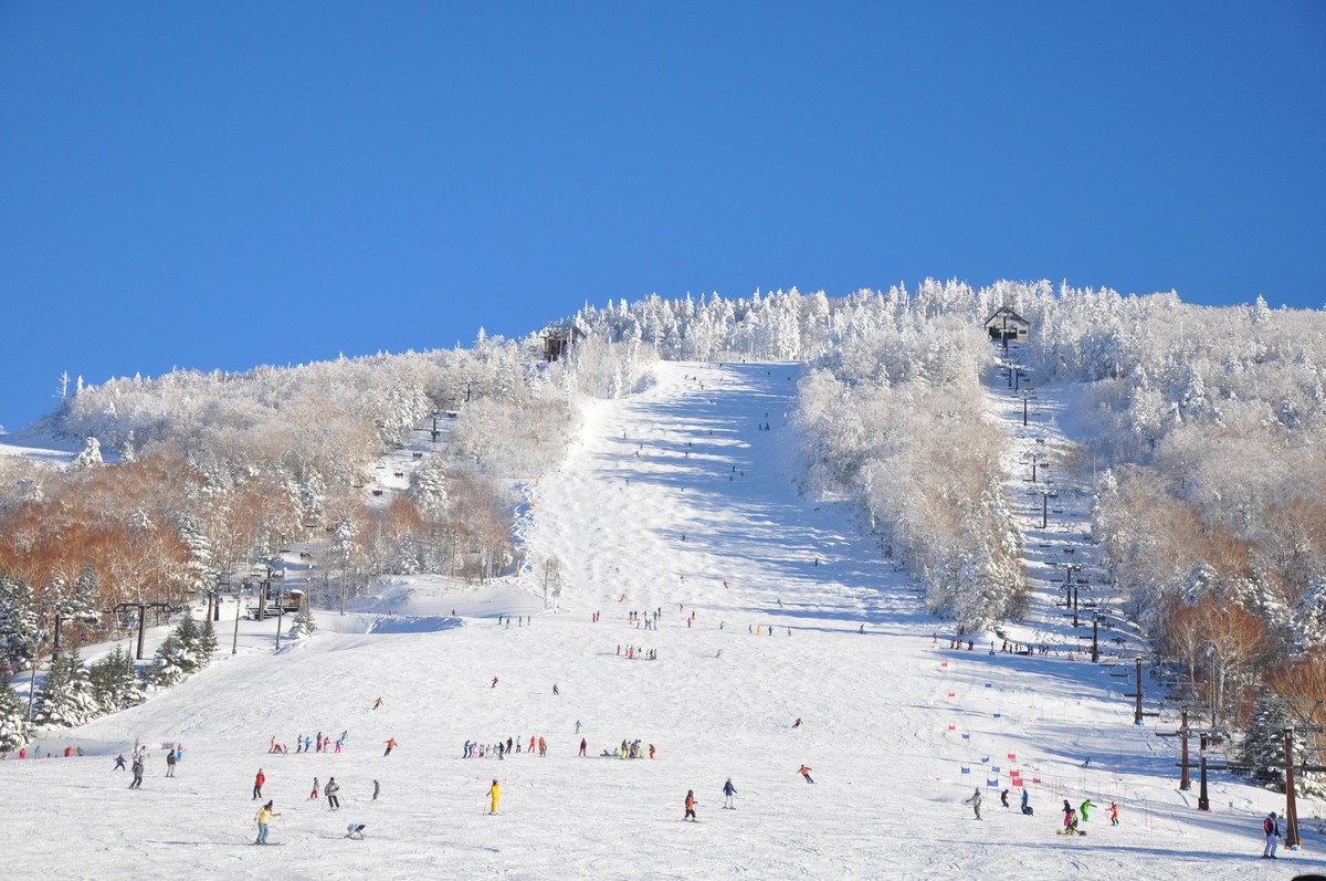Ichinose Family in Japan - people are skiing down the mountain on a sunny day.