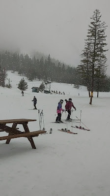Image of a bustling winter day at Loup Loup Ski Bowl in Okanogan, Washington, USA. Families enjoy skiing amidst a beautiful snowy landscape, providing a lively scene of winter sports at the ski resort.