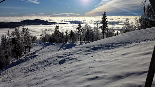 Skier glides down snow-covered slopes at Loup Loup Ski Bowl in Okanogan, Washington, embodying a quintessential winter sports scene at a ski resort amidst captivating winter scenery.