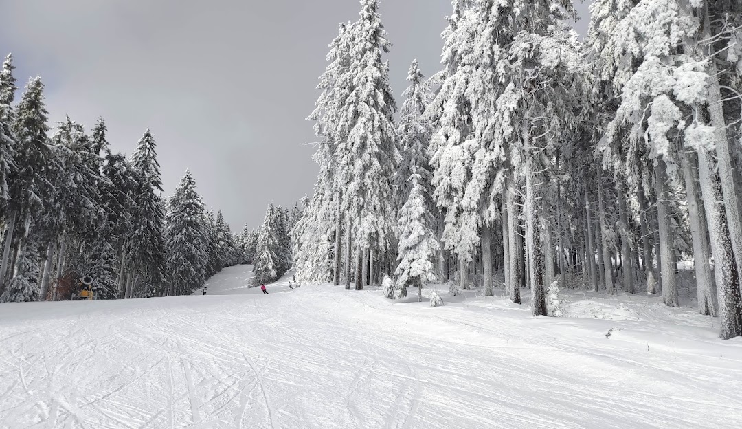 Ski center Říčky in Czech Republic, featuring skiers in a bustling winter sports scene with snow-covered slopes and beautiful winter scenery.