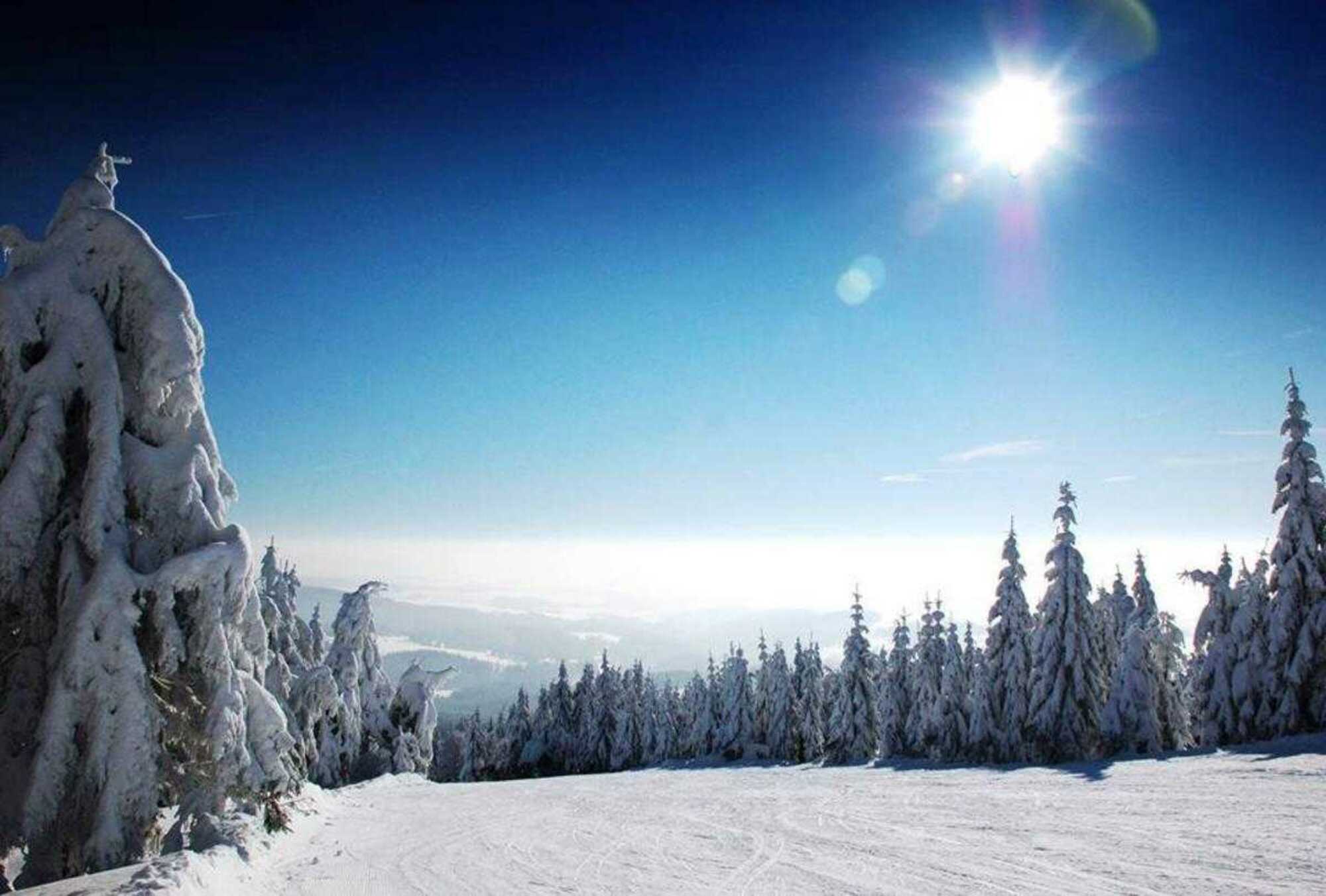 Sunny day at the Ski center Říčky in the Hradec Králové Region, Czech Republic. The image captures a bustling winter sports scene amidst stunning winter scenery with snow-covered slopes.
