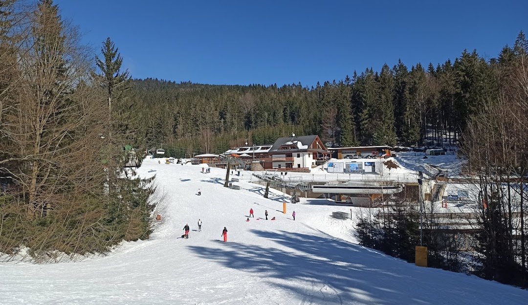 Ski center Říčky scene showcasing ski resort details, featuring tracks, ski lifts, and a chalet; the atmosphere of a bustling winter sports scene can be felt.