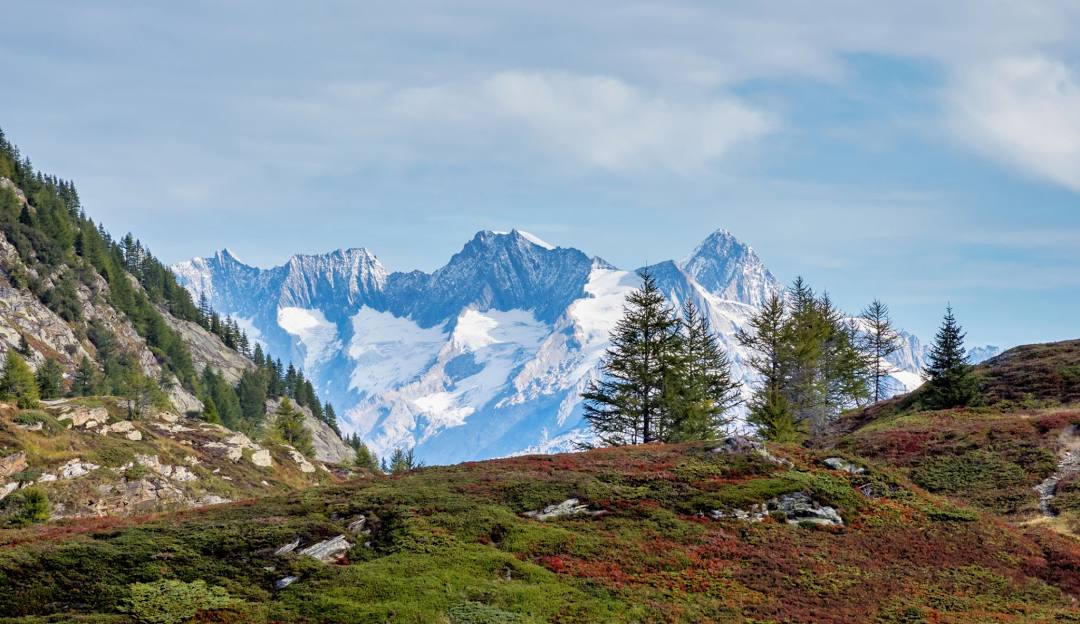 View of Rothwald Wasenalp in Switzerland featuring a charming chalet against a majestic mountain backdrop. A possibly snowy peak and a mountain bike add an adventurous feel to the scene.