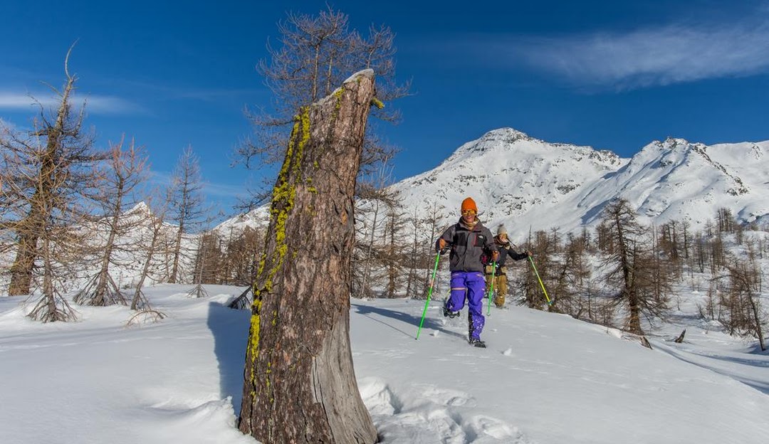 Winter sports scene at Rothwald Wasenalp in Switzerland featuring a skier and a snowboarder in action near a charming chalet, nestled in a popular ski resort.