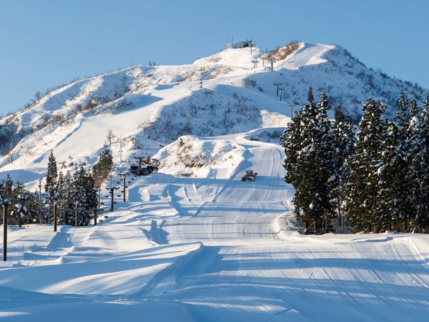 A winter sports scene at a ski resort in Suhara, Japan, featuring a skier on snow-covered slopes under a clear sky.