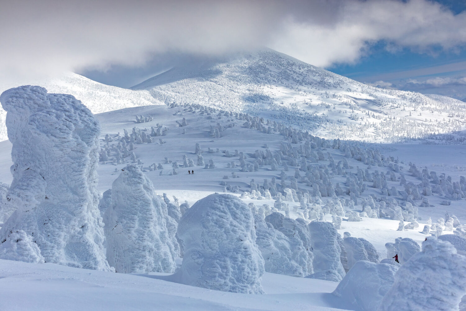 Hakkoda in Japan - a person on a snowboard in the snow.