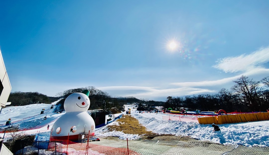 Skier skillfully navigating down a slope at a winter sports centre in Karuizawa, Japan, amid the breathtaking winter scenery of snow-coated trees and slopes.