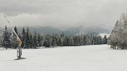 Winter scene at Ski Jezersko-Bachledova dolina resort, featuring stunning mountain views and snowy slopes, in Vysoké Tatry-Bachledova dolina, Prešov, Slovakia.