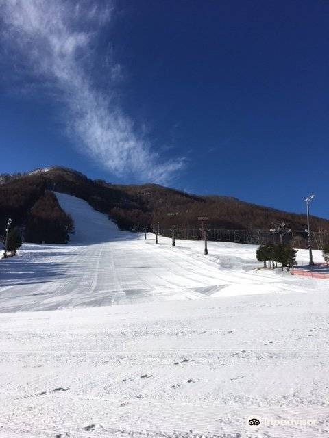 Winter scene at Echo Valley Ski Resort in Japan, with a skier descending a mountain slope near a chalet, showcasing the beauty of winter sports in Chūbu, Nagano.