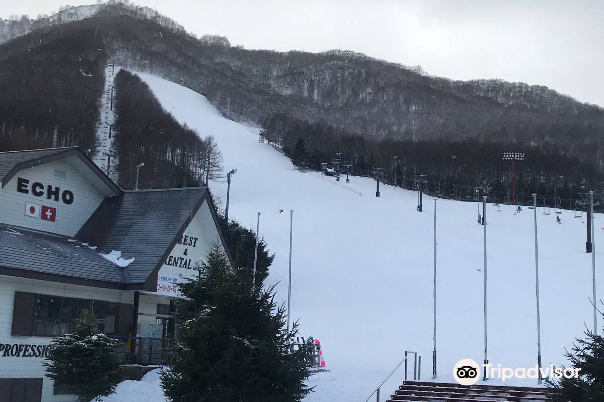 Ski resort nestled in Echo Valley, Chūbu, Japan, featuring stunning winter scenery with vast mountains and a quaint chalet. Winter sports enthusiasts are enjoying the snow-covered slopes.