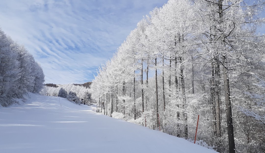 Breathtaking winter scenery in Echo Valley, Nagano, Japan featuring a lively ski resort bustling with winter sports activities, surrounded by pristine, snow-covered landscapes and a charming chalet.