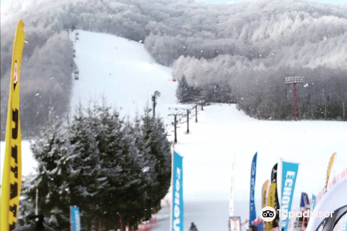 Winter sports scene at Echo Valley ski resort in Chūbu, Nagano, Japan, featuring a skier headed towards a charming chalet in a mesmerizing winter landscape.