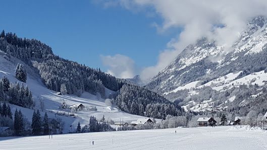 Winter scene at Chapelle d'Abondance ski resort in France featuring ski slopes, winter sports enthusiasts, a quintessential challet, and stunning alpine scenery.