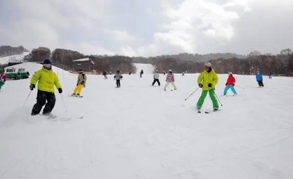 A vibrant winter sports scene at Edelweiss Japan capturing numerous people skiing amidst breathtaking snowy scenery and a well-equipped ski resort.