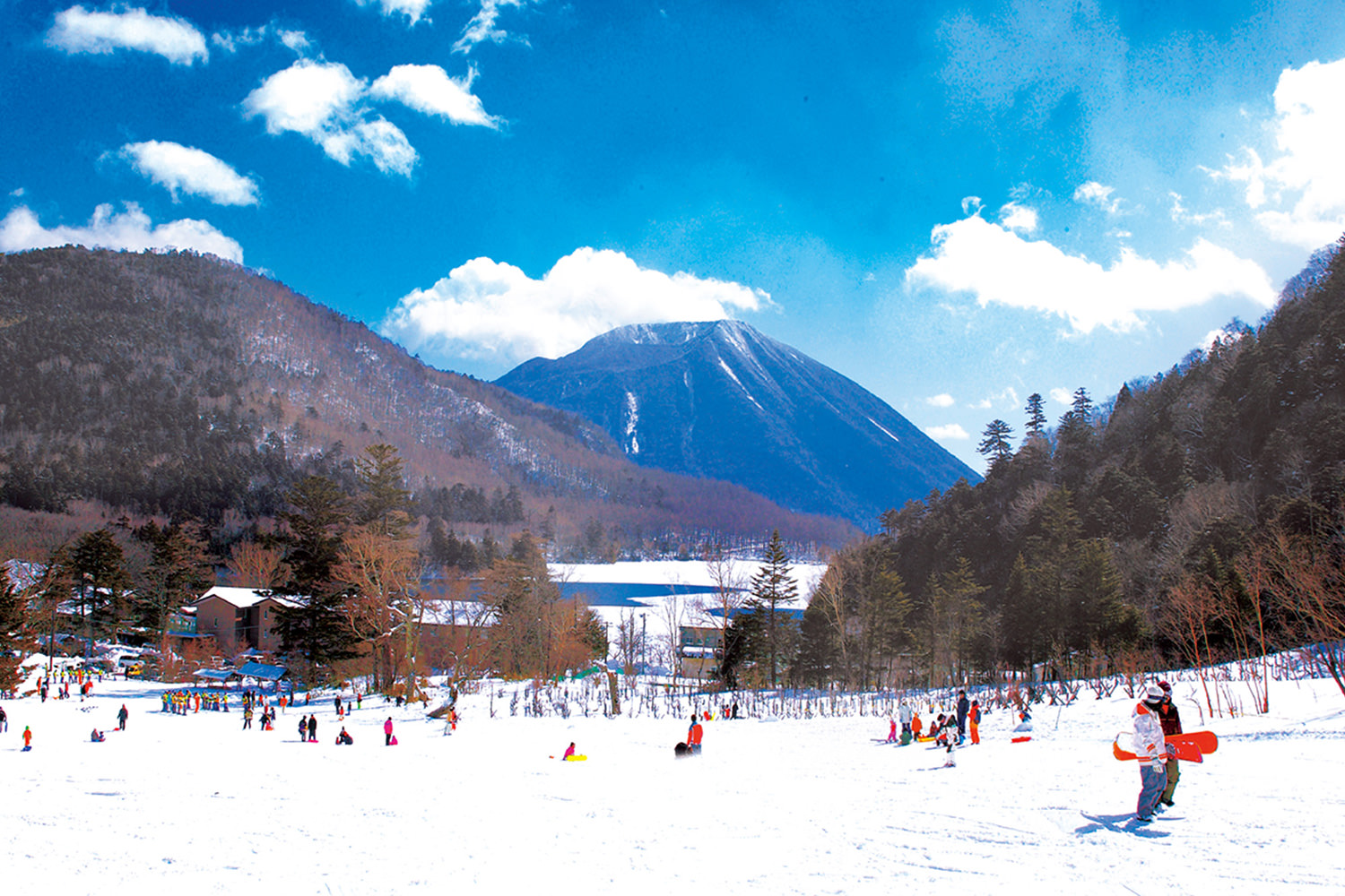 Edelweiss in Japan - a group of people skiing down a snowy hill.