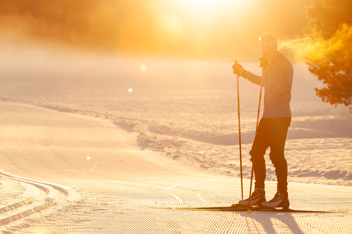 A vibrant winter sports scene at Tahoe Donner in Lake Tahoe Truckee showcasing a skier energetically gliding down the snowy slopes amid a captivating snowy environment.
