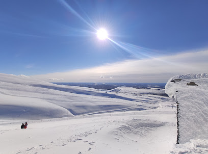 A winter sports scene at Devil's Glen in Duntroon, Ontario, showcasing spectacular snow-laden scenery with a skier carving through the terrain at a cozy ski resort.