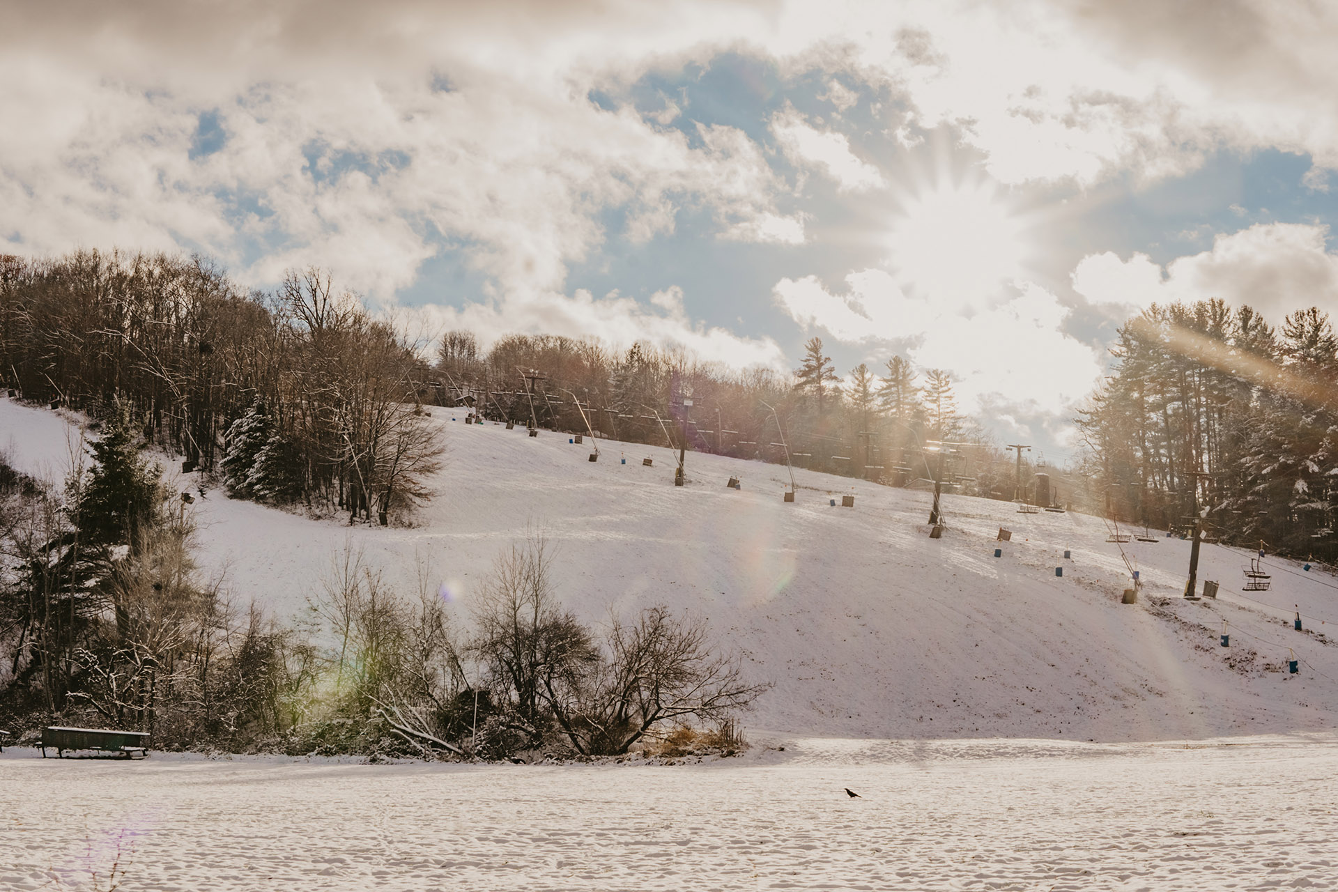 Snow-covered landscape in Swain, Chautauqua-Allegheny, New York showcasing a skier gliding down the slope. A charming chalet sits nestled amongst frost draped trees, enhancing the serene winter sports scene.