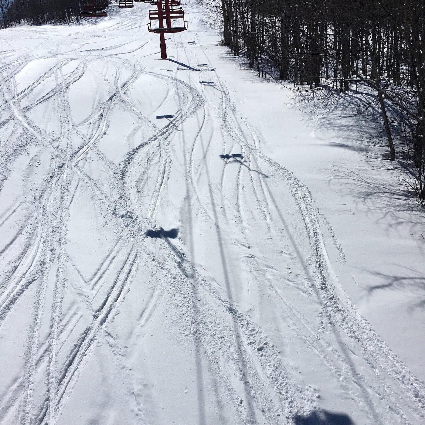 A skier slices through the fresh powder at Big Powderhorn Mountain in Bessemer, Michigan, USA. A ski lift criss-crosses the wintry landscape, with the bustling activity of the ski resort in the background.