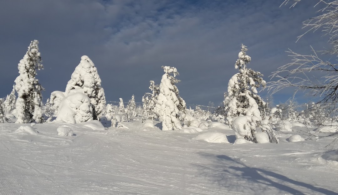 Winter scene at the Saariselkä ski resort in Lapland, Northern Finland, showcasing a vibrant winter sports scene surrounded by snowy mountain vistas.