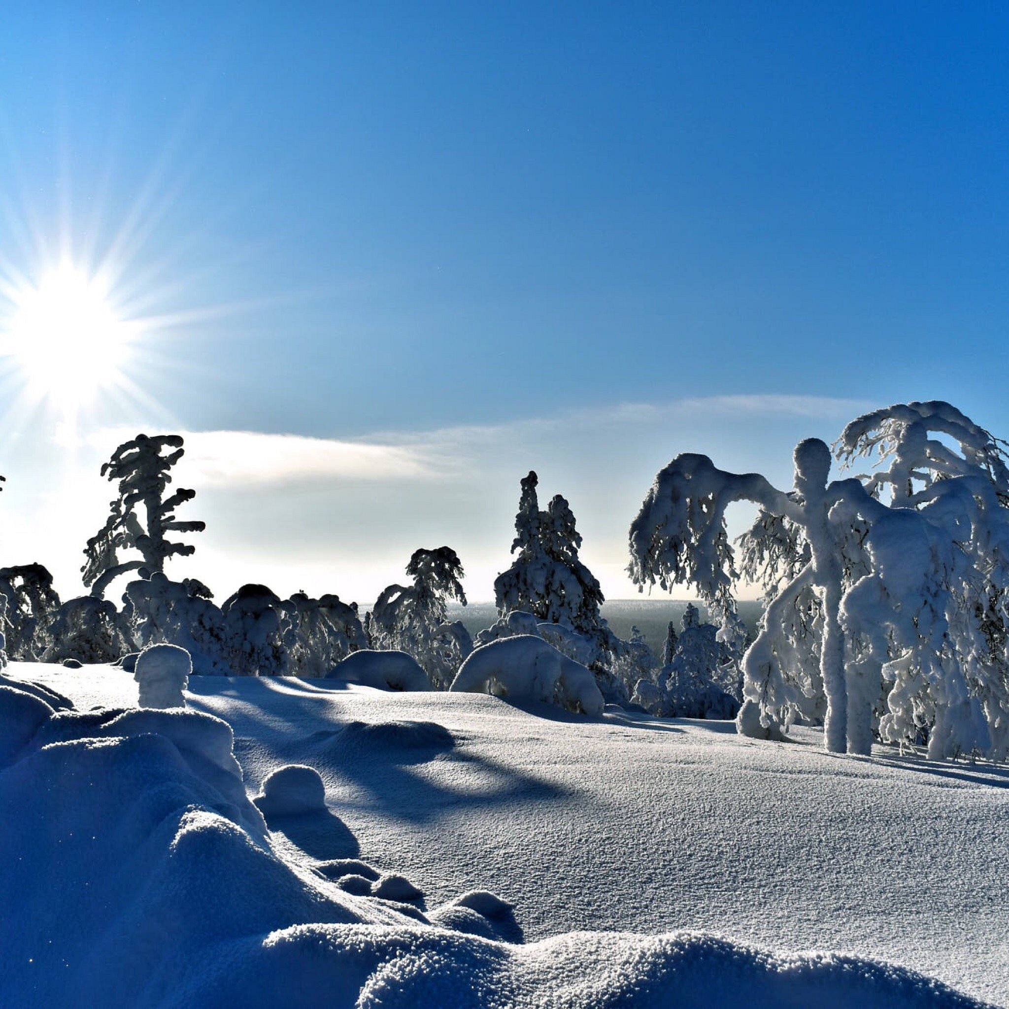 Winter sports scene in Saariselkä, Lapland, featuring spectacular snowy mountains under a clear, sunny sky. The winter scenery is both beautiful and perfect for outdoor activities.
