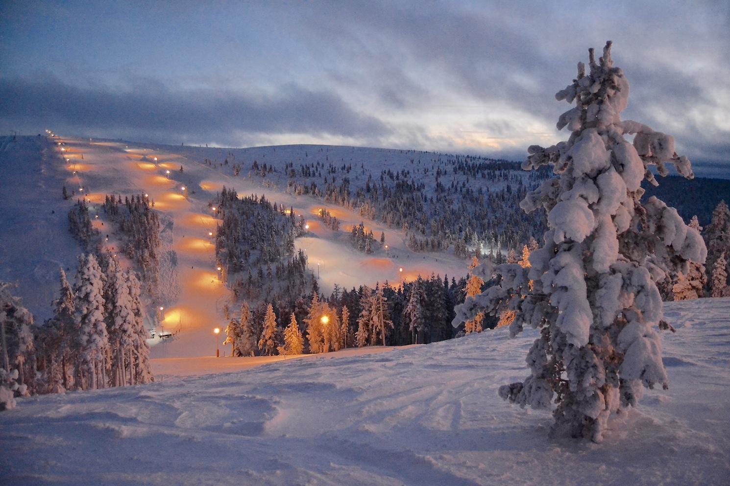 Saariselkä in Finland - trees covered in snow.