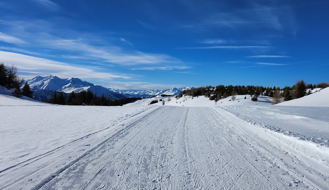 Winter sports scene in Feldis, Eastern Switzerland, showcasing a charming chalet amidst snowy surroundings. Activity at a nearby winter sports centre indicates a bustling ski resort.