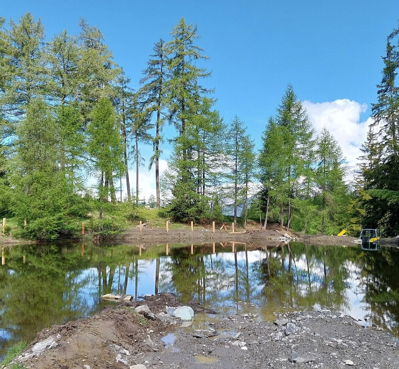 Feldis in Switzerland - a small pond in the middle of a forest.