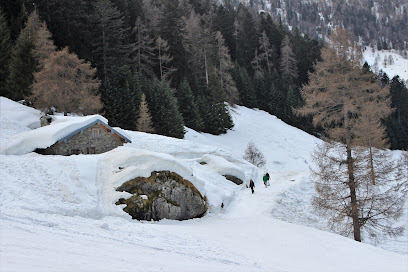 Winter sports center surrounded by snow-covered landscape with a cozy chalet in Pescegallo Valgerola, Valtellina, Italy, showcasing the beauty of winter sports scenes.
