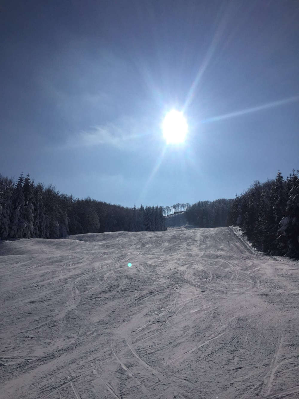 A vibrant winter sports scene at Schia – Monte Caio ski resort in Emilia-Romagna, Italy. A skier is enjoying a bright, sunny day on the slopes, while a ski lift in operation can be spotted nearby.