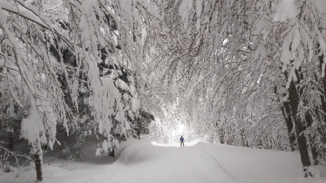 A skier enjoying a winter sports scene on the slopes of Schia - Monte Caio in Parma Italy. The stunning winter scenery is dotted with charming chalets.