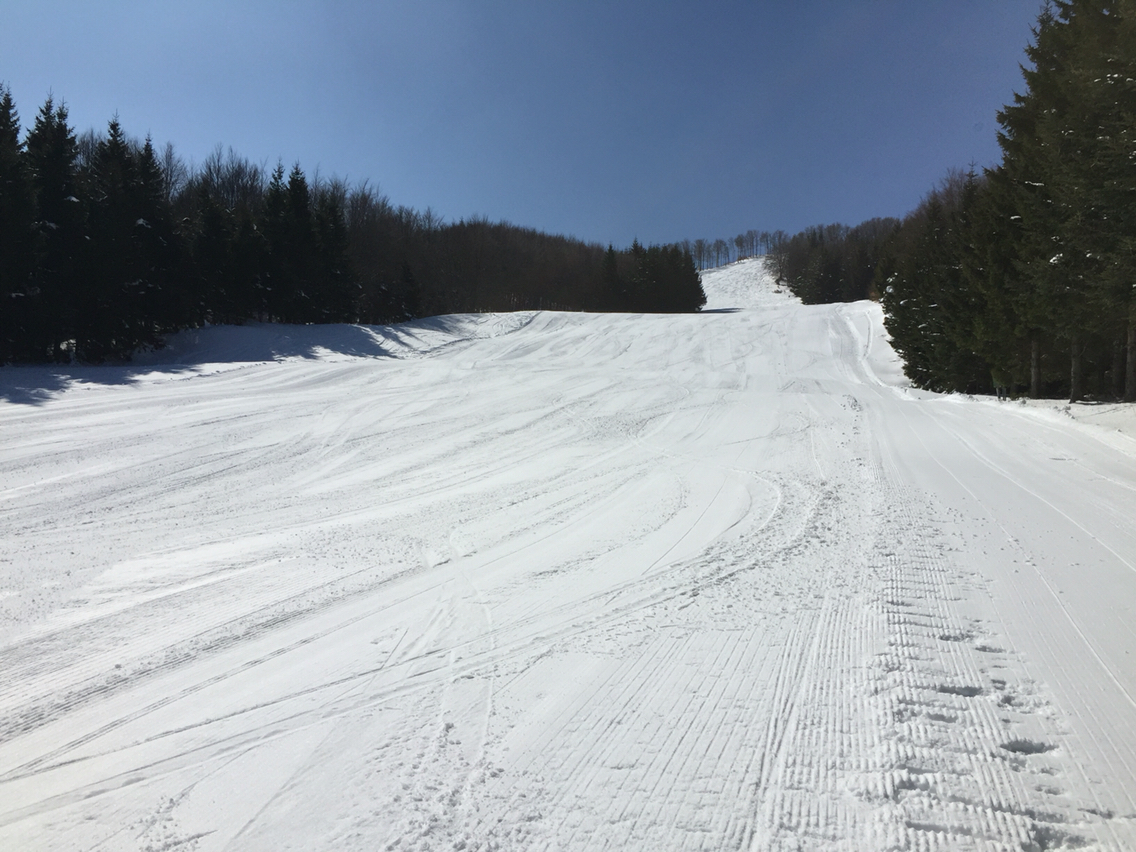 Winter sports scene at Schia – Monte Caio in Parma, Italy, featuring a skier descending a snowy mountainside. A ski lift and chalet seen in the backdrop adds charm to the picturesque ski resort.