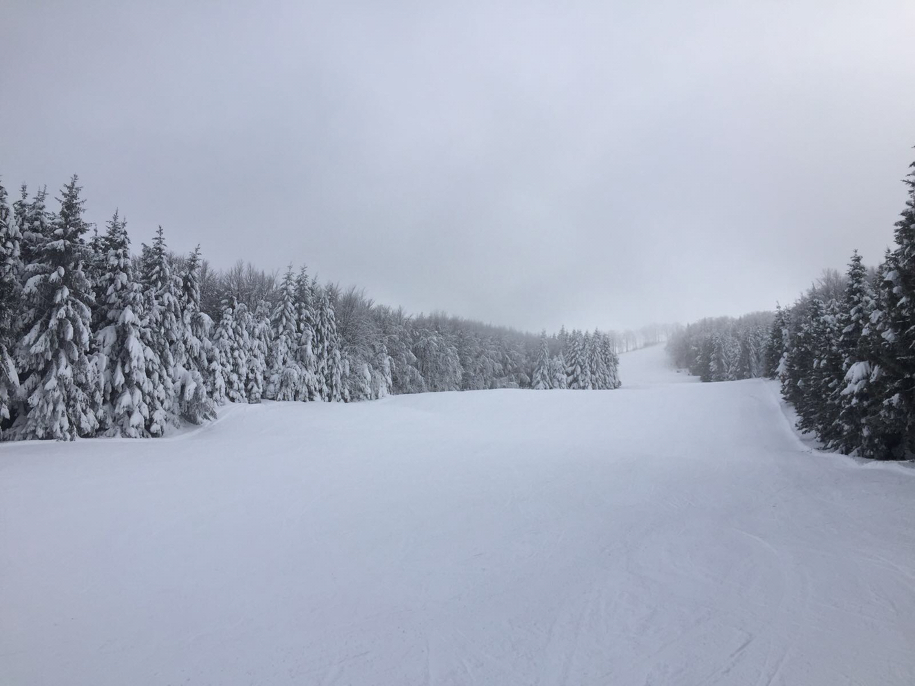 A winter sports scene at Schia – Monte Caio ski resort in Parma, Italy. A skier is visible amidst the winter scenery, with a chalet subtly positioned in the background.