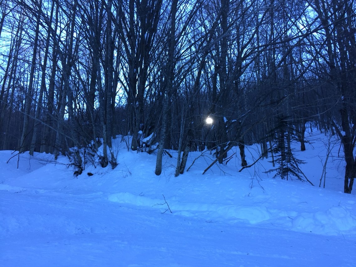 A picturesque winter scene at Schia - Monte Caio Parma showcasing a bustling winter sports scene amidst stunning snowy surrounds typical of a ski resort in Emilia-Romagna Italy.