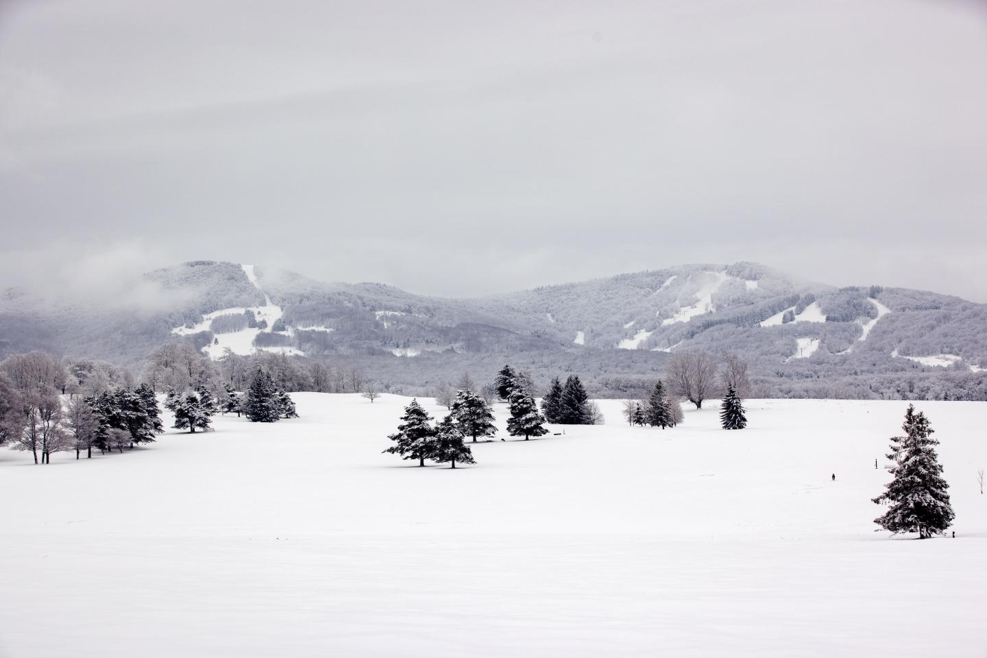Canaan Valley in USA - a snowy landscape with trees and mountains in the background.