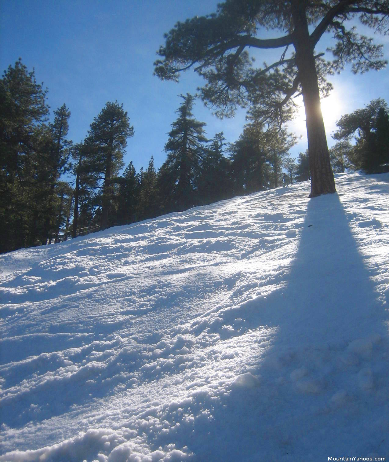 Winter scene at Mt Waterman in California, featuring a charming chalet amidst a popular winter sports area. Snow-dusted mountain tops and pristine winter landscapes in the background.