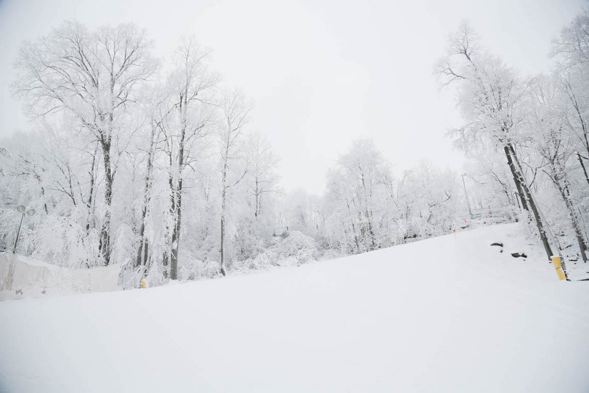 Liberty Mountain in USA - a snow covered forest with trees in the background.