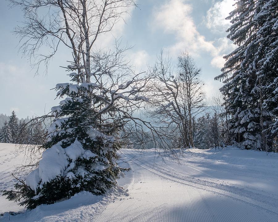 Winter scene at Wolzenalp, St. Gallen, Switzerland featuring a stunning snow-covered landscape, ski resort and chalet. It's a skier's paradise nestled in the heart of the Swiss mountains.