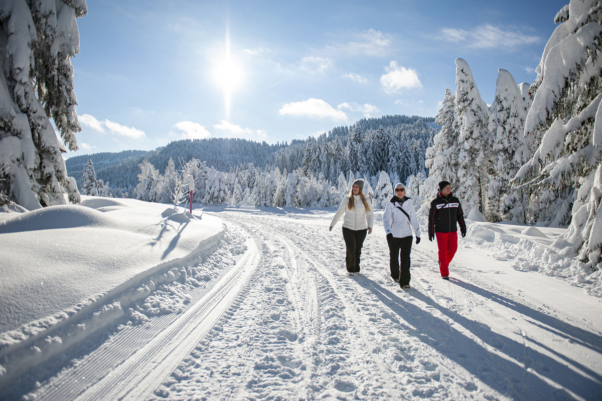 A family enjoy skiing at the Wolzenalp winter sports centre in Toggenburg Switzerland amidst a stunning winter scenery of snow-covered slopes and resort facilities.