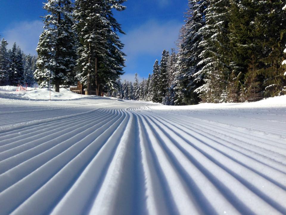 Cooper Spur in USA - ski tracks in the snow on a sunny day.